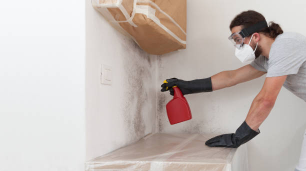 Professional Mold Testing technician working in South Hamilton, MA
