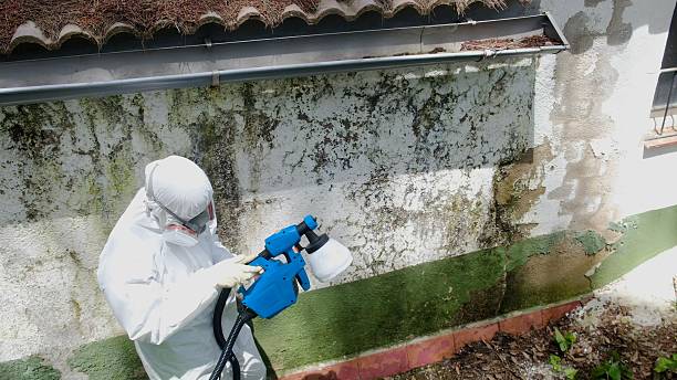 Trusted Crawl Space Mold Removal service in South Hamilton, MA - Cheap Mold Removal